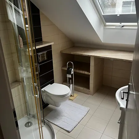 Z Kominkiem Sauna Jacuzzi Balia Ogrodowa Apartment