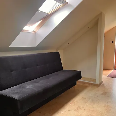 Z Kominkiem Sauna Jacuzzi Balia Ogrodowa